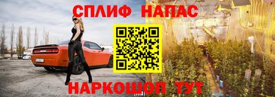 ГАЛЛЮЦИНОГЕННЫЕ ГРИБЫ Тверь
