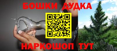 шишки Тара