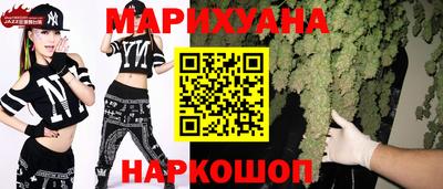 шишки Тара