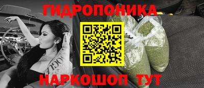 шишки Тара