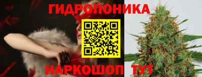 шишки Тара