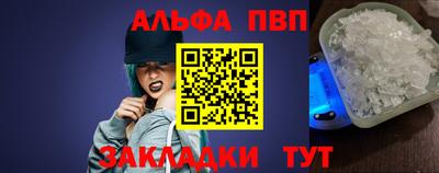 шишки Тара