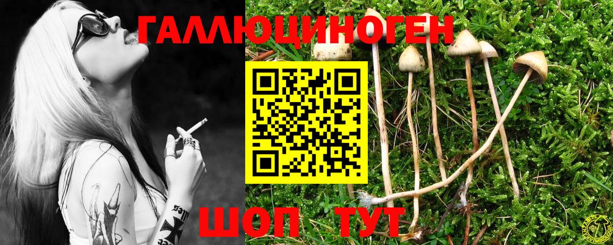 Аксай  Псилоцибиновые грибы ЛСД  Вход с VPN 