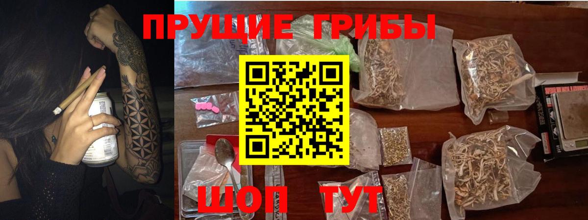 Галлюциногенные грибы Psilocybe Аксай